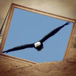 Meet your Posher, Terry